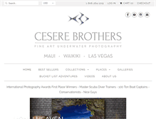 Tablet Screenshot of ceserebrothers.com